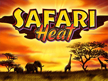 Автоматы Safari Heat в онлайн казино